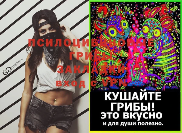 Альфа ПВП Краснослободск