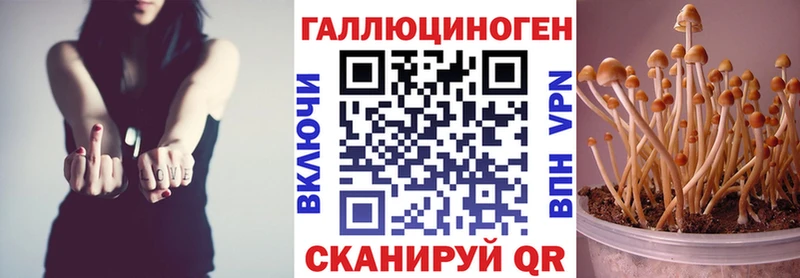 Купить закладки  Белогорск  Псилоцибиновые грибы MAGIC MUSHROOMS 